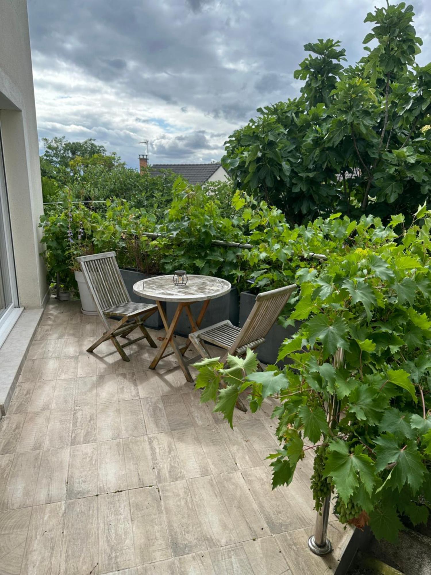 Ferienwohnung Pink Tropical Champagne Reims Exterior foto