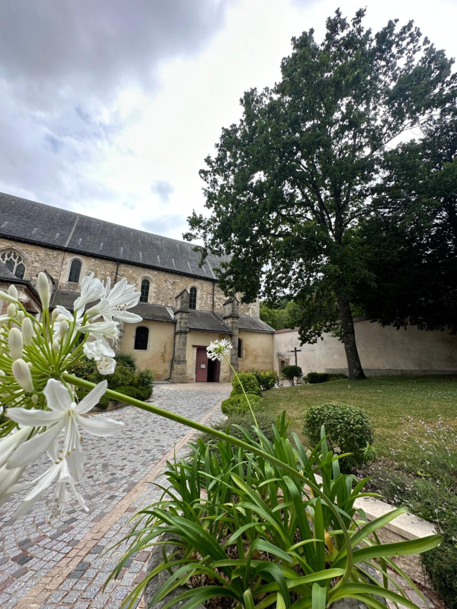Ferienwohnung Pink Tropical Champagne Reims Exterior foto